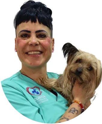 Ana Gomes